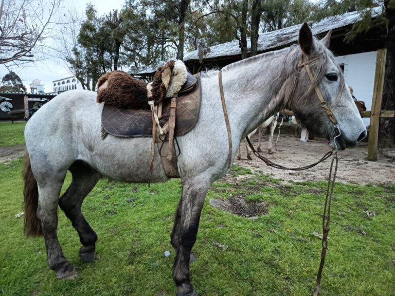 Entre el capricho por Casupá y el desprecio por el campo: ¡póngale más impuestos!
