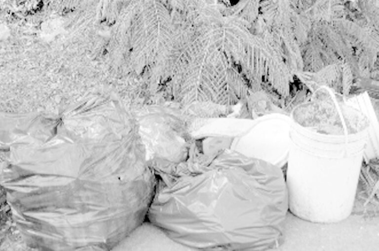 Basura a la vista, malestar en aumento