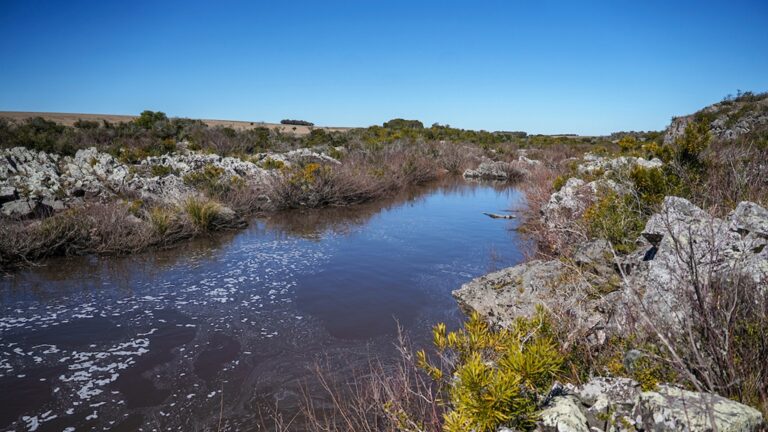 Alternativa a Casupá: conectar el Río Negro con el Santa Lucía