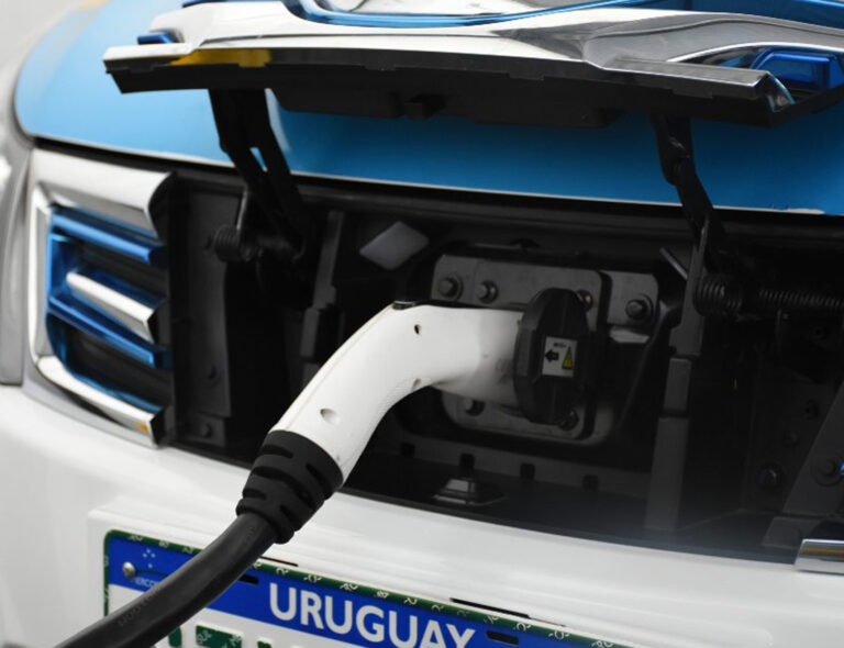 Clase media y autos eléctricos