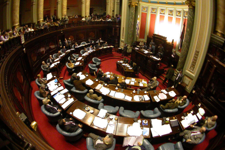 El Senado aprobó por unanimidad el programa “Uruguay Impulsa»