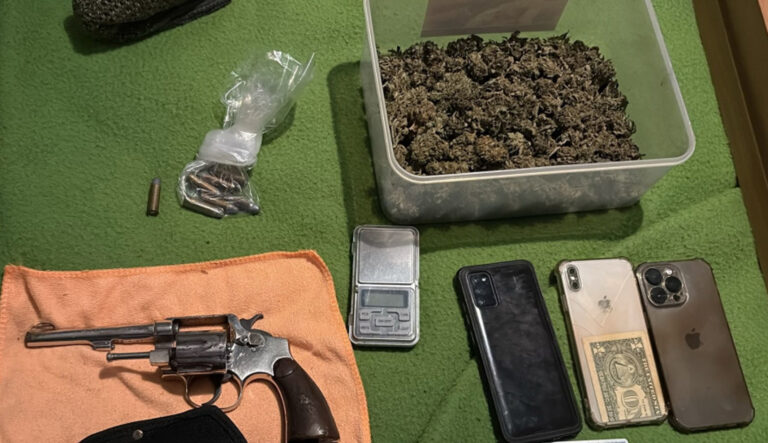Desarticulan un mini laboratorio de marihuana ilegal en Montevideo y Canelones