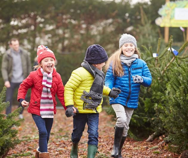 Vacaciones de invierno: Minas ofrece una variada agenda de actividades para toda la familia