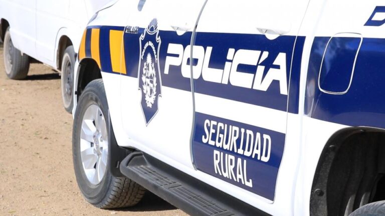 Nueva denuncia de faltante de ganado en Paraje Los Tapes