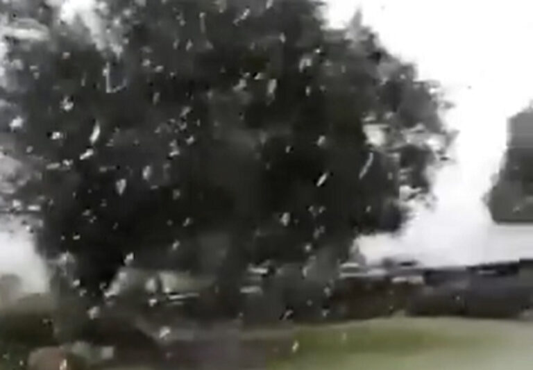 INUMET confirmó que nevó en Lavalleja