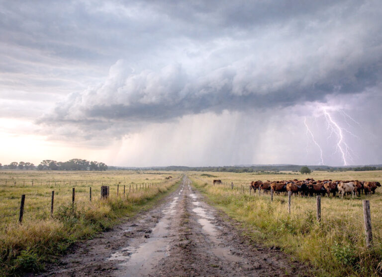 El pronóstico indica que en el correr de hoy volverán las precipitaciones a nuestras sierras