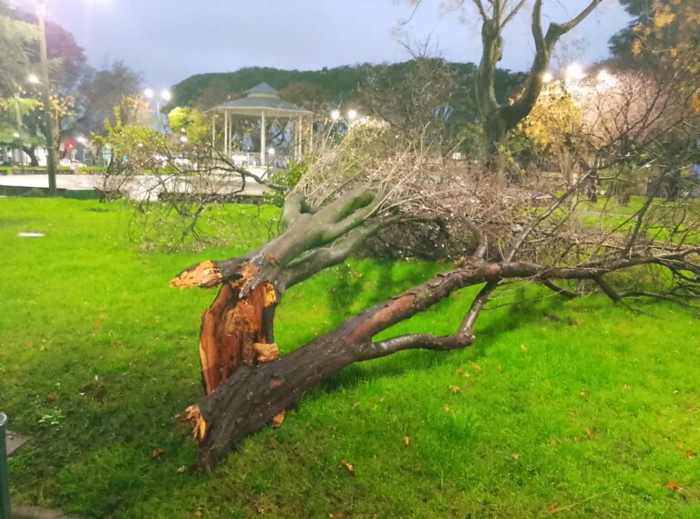 Temporal provocó daños materiales en Minas